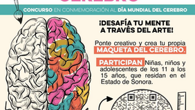 Invita Gobierno de Sonora a participar en el concurso “Conéctate con tu cerebro”