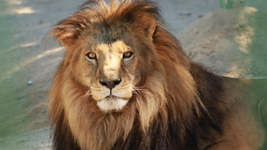 Gobierno de Sonora invita a disfrutar del Centro Ecológico durante el periodo vacacional