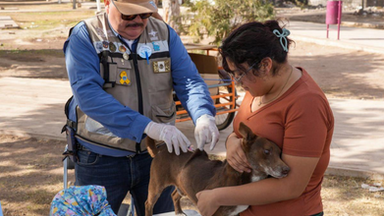 Perritos sanos, familias protegidas: invitan a Clínicas Móviles para evitar enfermedades zoonóticas
