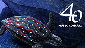 Invita Gobierno de Sonora a festejar los 40 años del Museo Comcáac en Bahía de Kino