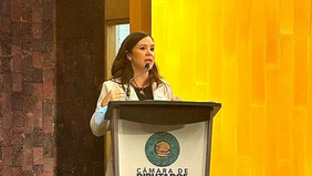 Presenta Gobierno de Sonora acciones del Sistema SALVA en la Cámara de Diputados