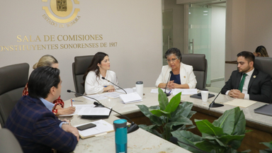 Comisión de Salud aprueba iniciativas para la atención psicológica, prevención del suicidio y salud mental