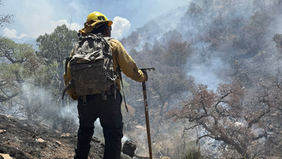 Gobierno de Sonora logra liquidación total del incendio forestal en la Sierra Los Ajos