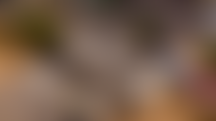 Con obras concretas a favor de las familias avanzó Hermosillo en 2025: Toño Astiazarán