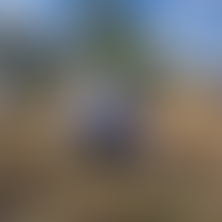 Bosque Urbano La Sauceda, ejemplo de recuperación ambiental y participación ciudadana en Sonora