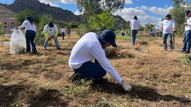 Bosque Urbano La Sauceda, ejemplo de recuperación ambiental y participación ciudadana en Sonora