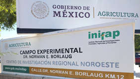 Gobierno de Sonora fortalece formación de profesionales para revolucionar el sector agrícola: UTEtchojoa