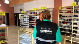 Sistema SALVA prioriza acciones por la seguridad de las mujeres en Sonora