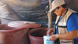 Refuerza Salud Sonora acciones preventivas y de control contra el dengue en todo el estado