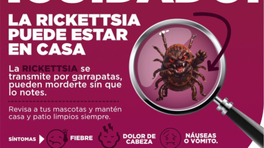 Exhorta Salud Sonora a reforzar limpieza en temporada de calor para prevenir rickettsia