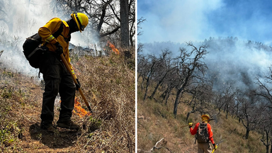 CEPC coordina esfuerzo de más de 100 combatientes forestales en Tarachi