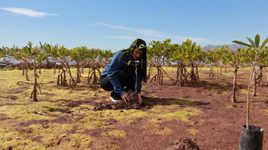 Gobierno de Sonora celebra foro en el marco del Día Mundial de los Humedales