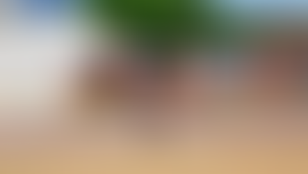 Otra gran actuación de Sonora en la tercera sesión de la Olimpiada Regional