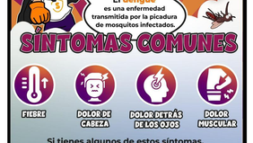 Llama Salud Sonora a eliminar criaderos de mosquitos antes de la temporada de lluvias
