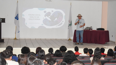 Promueve Gobierno de Sonora conservación de los ecosistemas marinos: Instituto Tecnológico Superior Puerto Peñasco