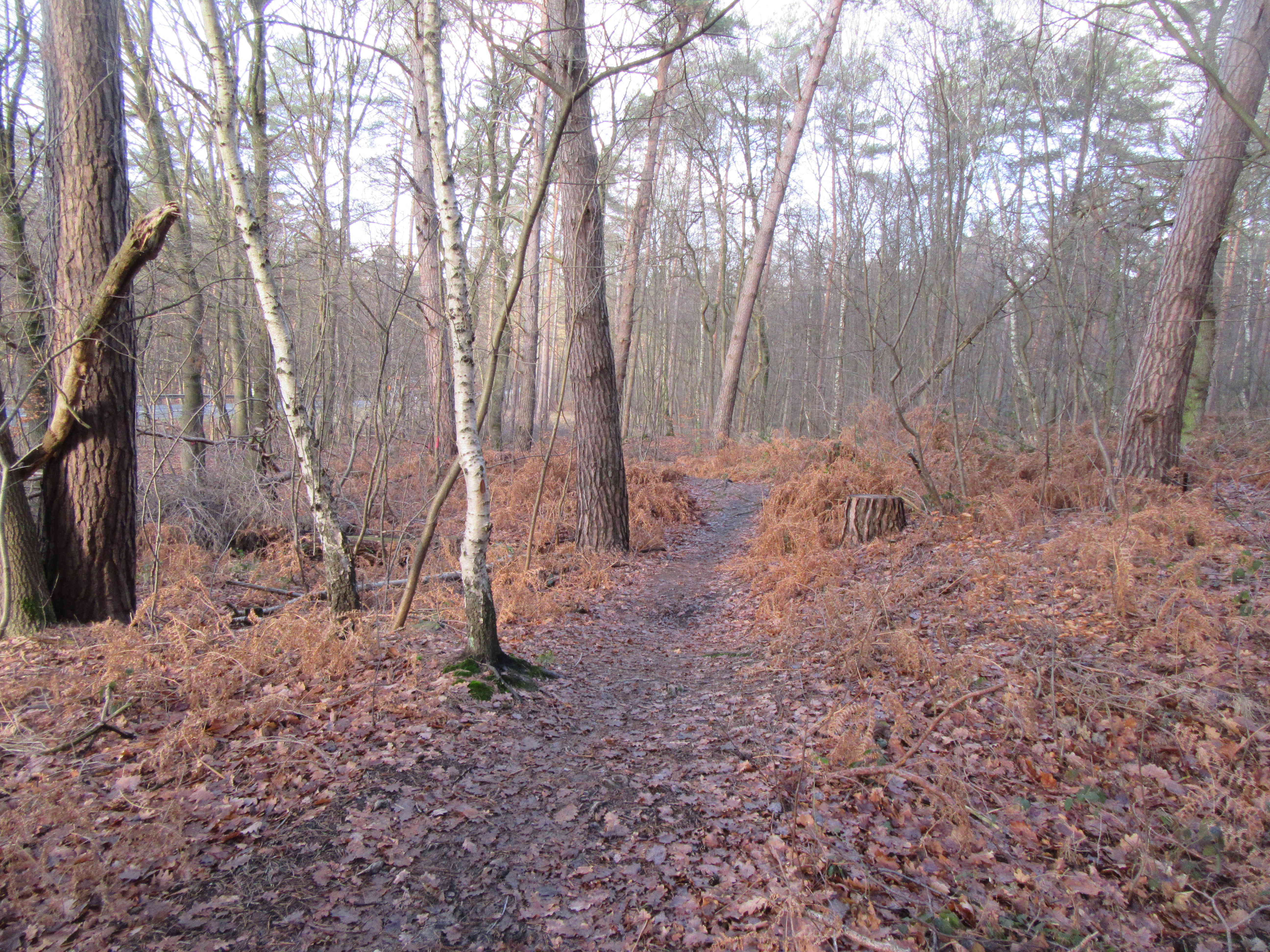 rheinland blogger