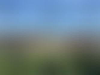 5 erreurs courantes qui détruisent un gazon de padel (et comment les éviter)