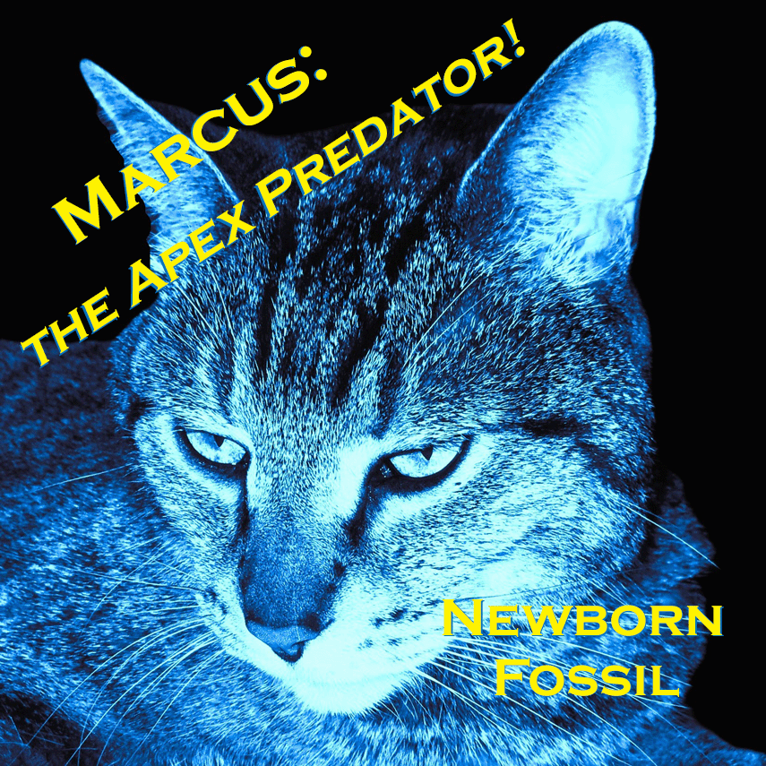 MARCUS: THE APEX PREDATOR! © 2025