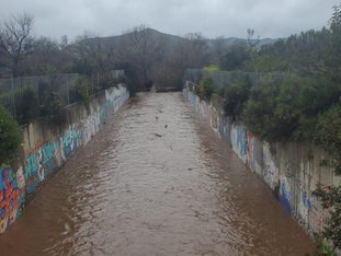RiverWatch March: A Rainy Day at the River Park...