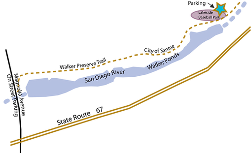 Walker Preserve.png