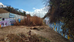 RiverWatch November 2024: Volunteer Alert