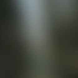 Frühjahrsmüdigkeit verstehen: Warum du im Frühling müde bist und was dein Körper dir wirklich sagen will