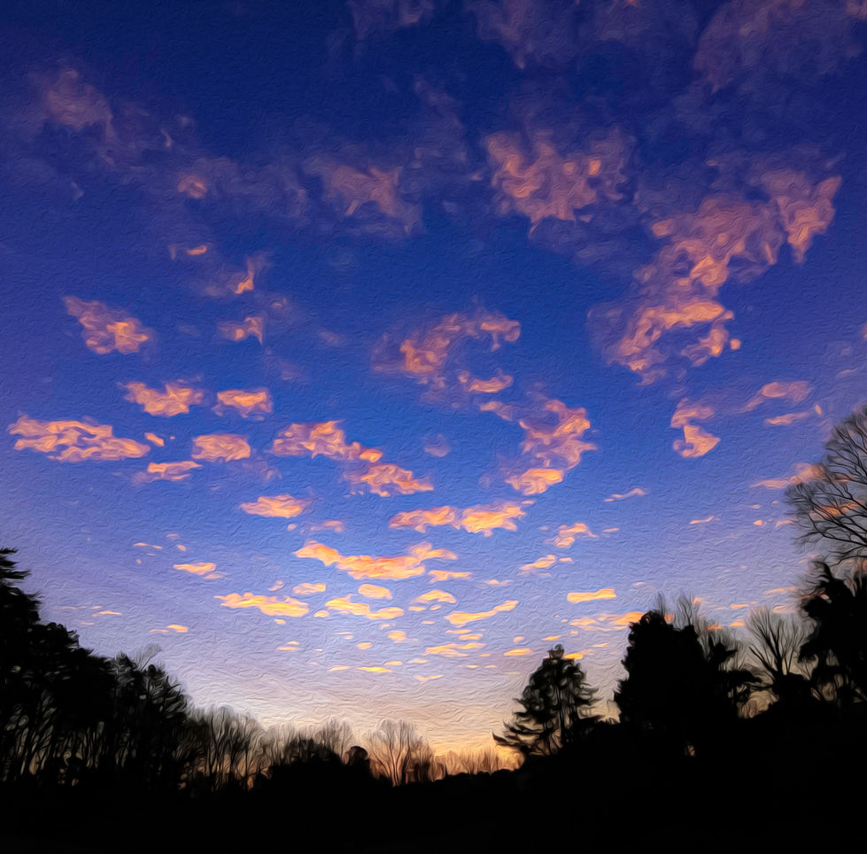 Winter Morning.jpg