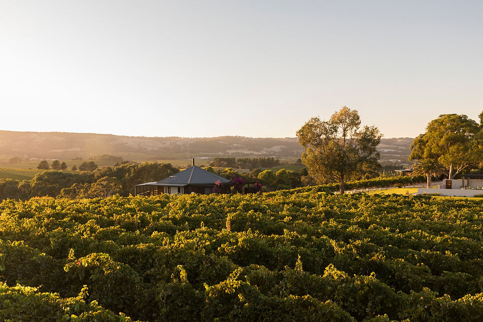 MEET SIMON BURLEY: THE INSIDER’S GUIDE TO SOUTH AUSTRALIA’S MAKERS & MAVERICKS