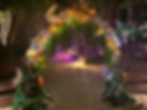 destination wedding planner Virgin Islands
