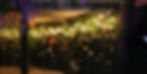 private island wedding planner Caribbean