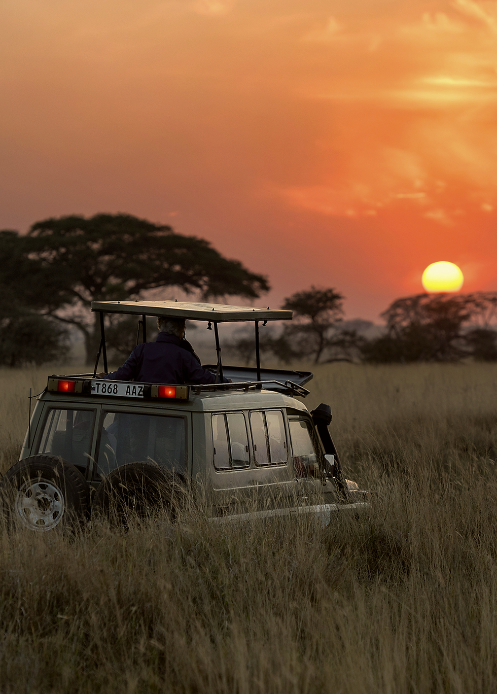 Landscape imagery representing time, continuity and the philosophy of legacy tailoring