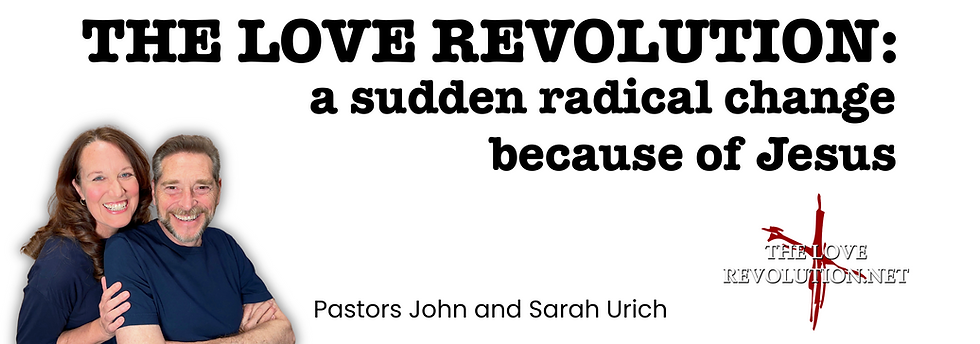 TLR Website banner Sept 2025.png