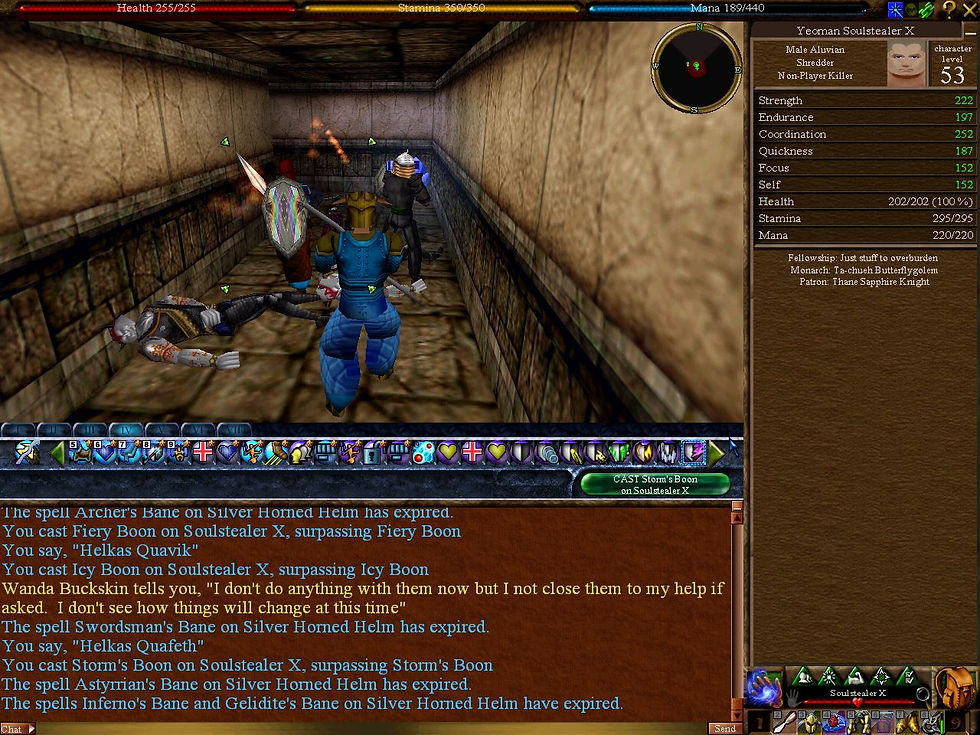 #Asheron's Call #Screenshots #Overlord's Sword