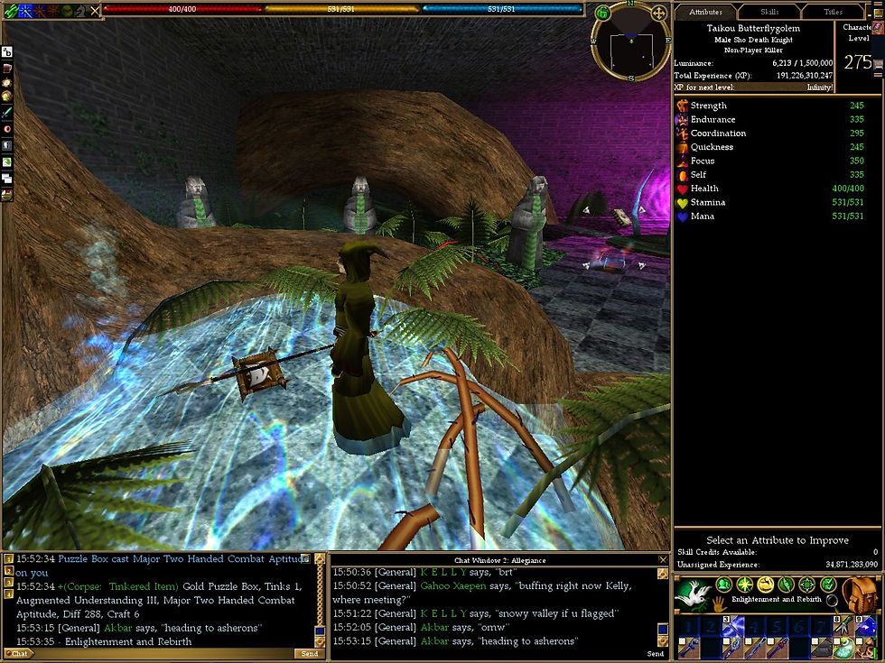 #Asheron's Call #Screenshots #Enlightenment