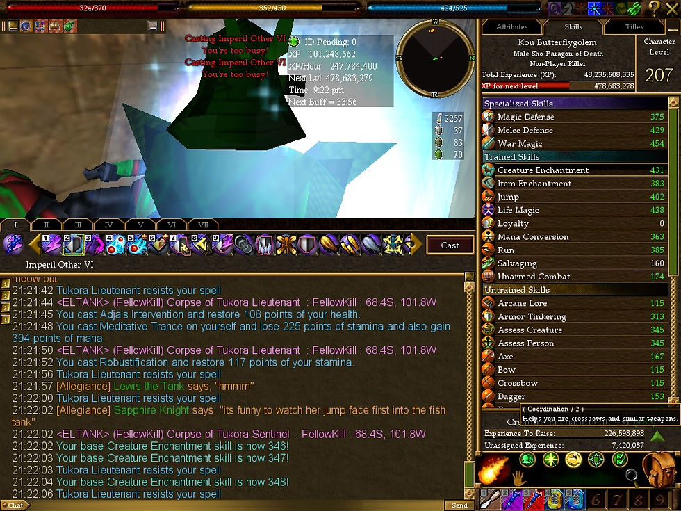 #Asheron's Call #Screenshots #Path of the Blind