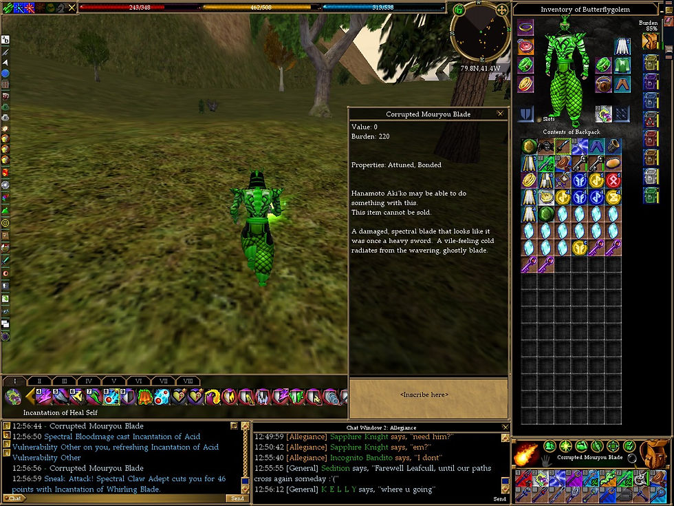 #Asheron's Call #Screenshots #Hoshino #Corrupted Mouryou Blade