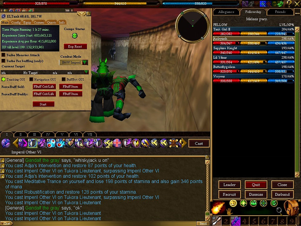 #Asheron's Call #Screenshots #Path of the Blind