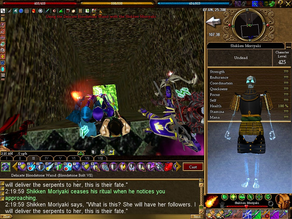 #Asheron's Call #Screenshots #Serpent Burial Grounds #Shikken Moriyaki