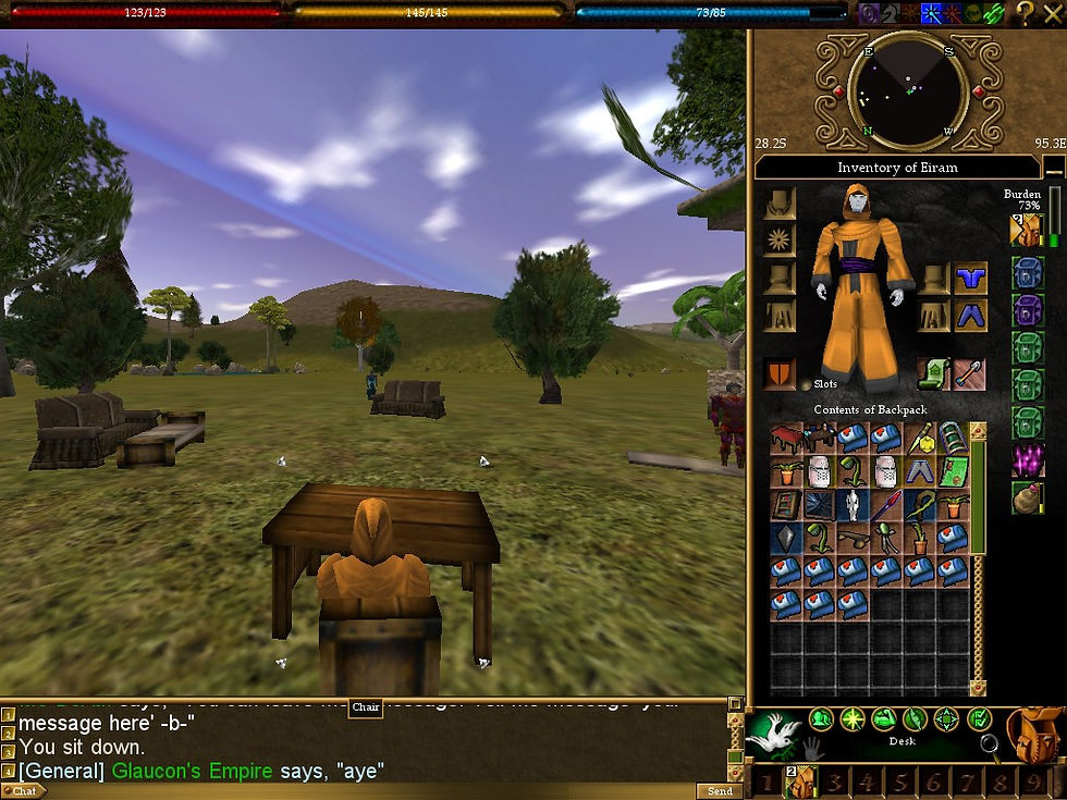#Asheron's Call #Screenshots #Tou-Tou #Desk