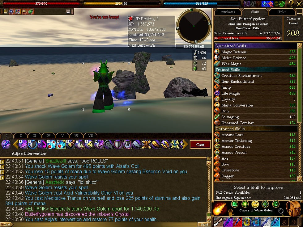 #Asheron's Call #Screenshots #Vissidal #C9E4 #Wave Golem