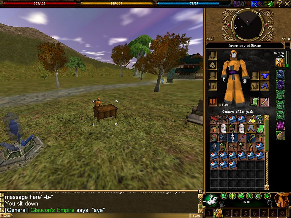 #Asheron's Call #Screenshots #Tou-Tou #Desk