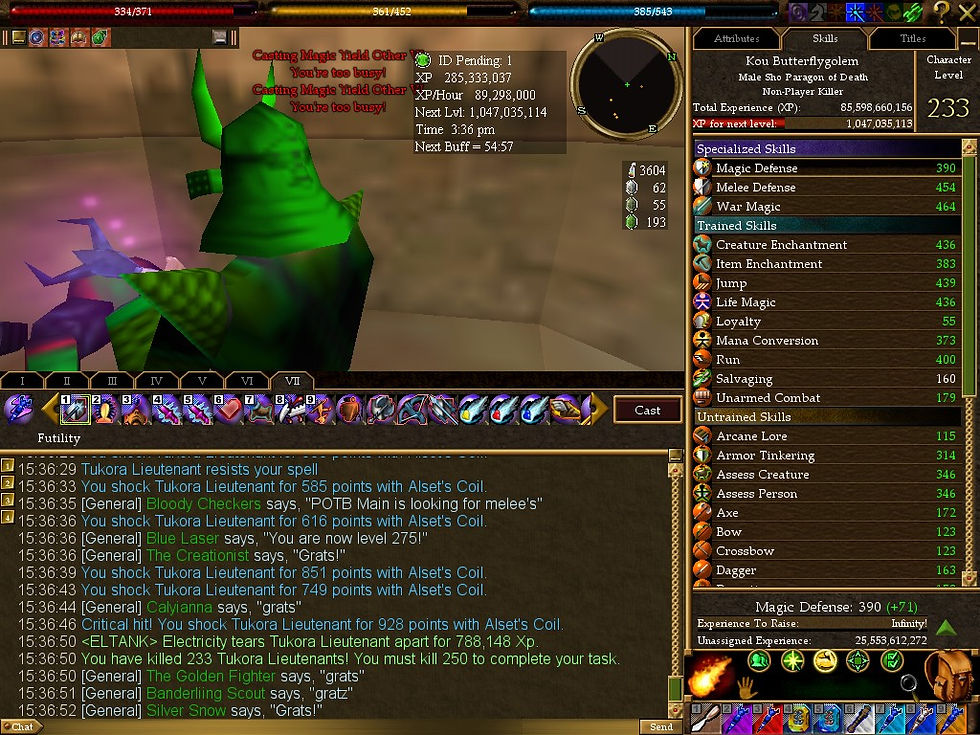 #Asheron's Call #Screenshots #Path of the Blind