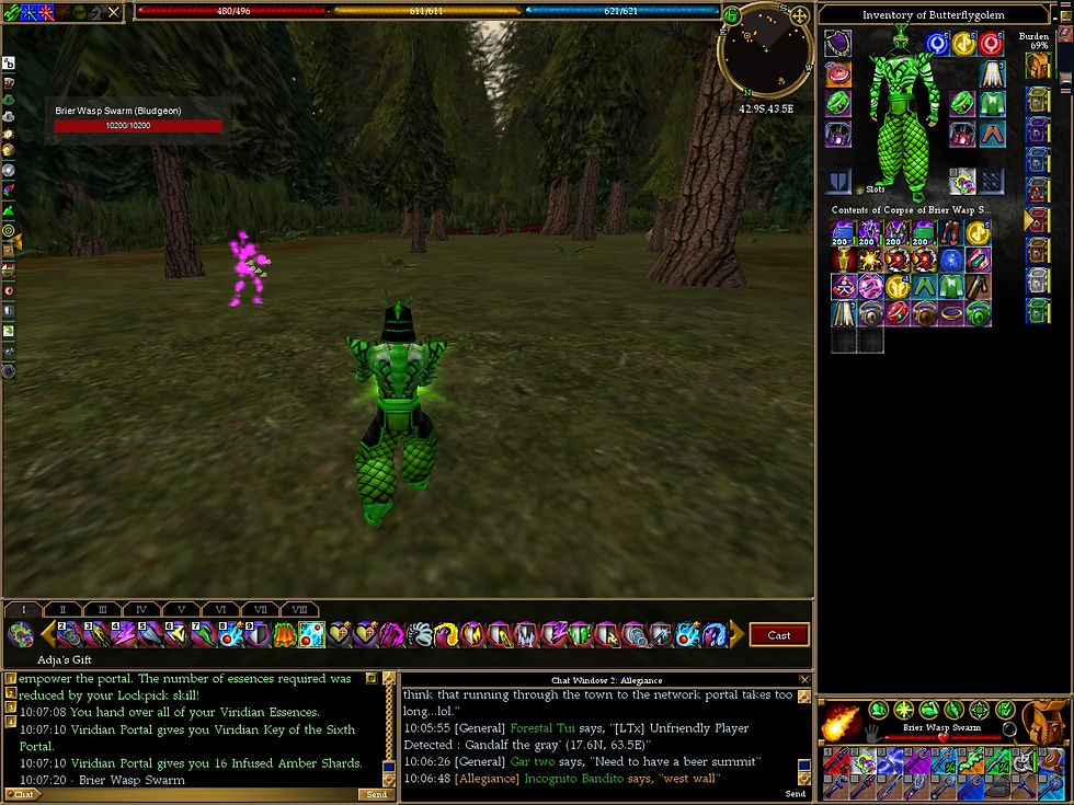 #Asheron's Call #Screenshots #Viridian Rise #Viridian Key of the Sixth Portal #Brier Wasp Swarm #Infused Amber Shard