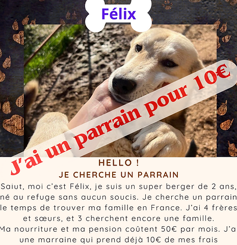Félix.png