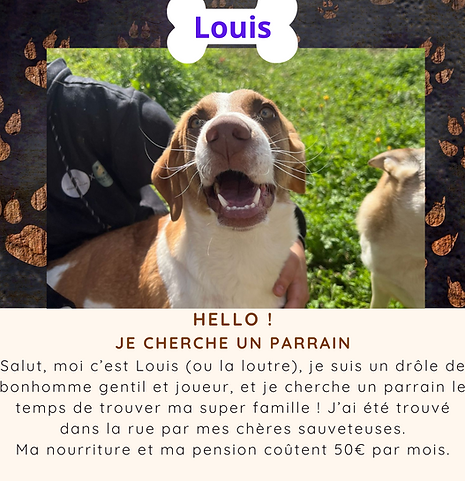 Louis.png