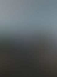 Essay by Ari Weinzweig: Fine Films and the Fight for Freedom: You, Me, and Ukraine