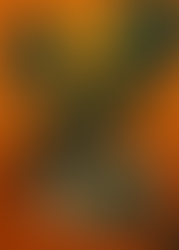 Ônus de Sucumbência em Embargos de Terceiro: quando o Embargado não deve ser onerado