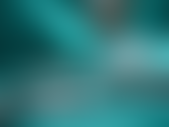 İzmir'deki Veteriner Kliniğinde Cerrahi İşlemler