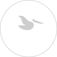 pelican.png