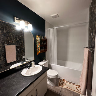 Woodstock Townhouse Bathroom